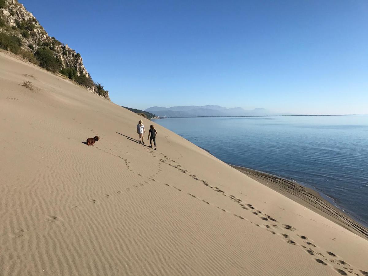 Beachfront, Tirana Guest House Velipojë Екстериор снимка