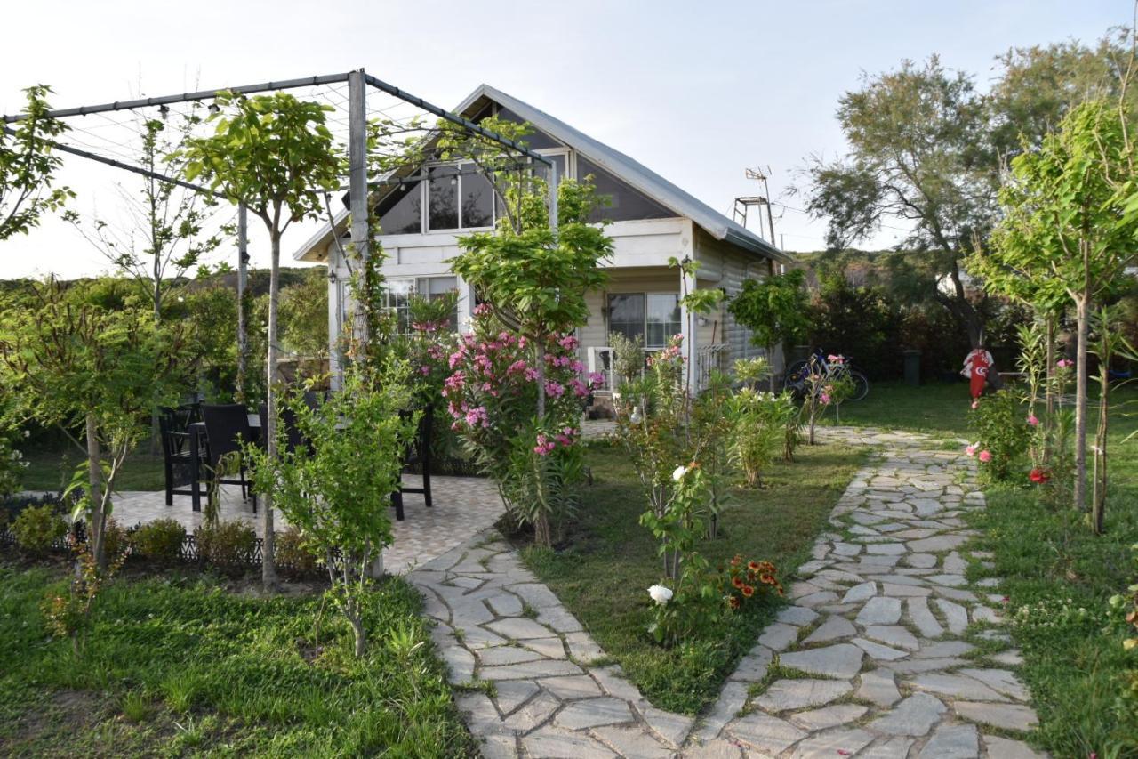 Beachfront, Tirana Guest House Velipojë Екстериор снимка