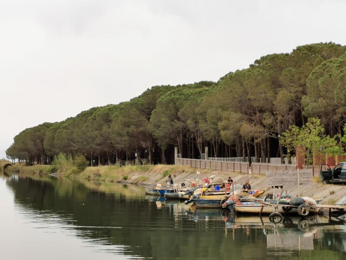 Beachfront, Tirana Guest House Velipojë Екстериор снимка